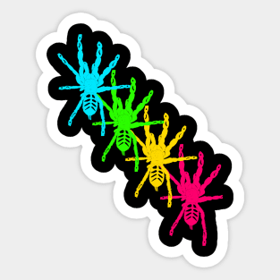 Venezuelan Sun Tiger (Psalmopoeus irminia)  rainbow Sticker